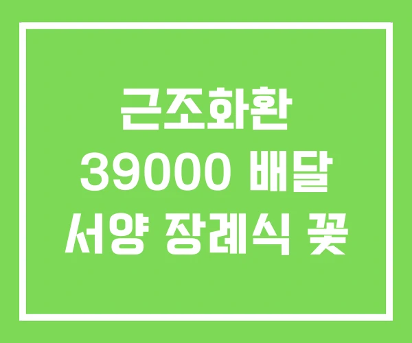 근조화환 39000 배달 서양 장례식 꽃