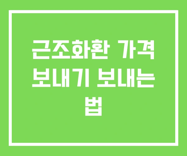 근조화환 가격 보내기 보내는 법