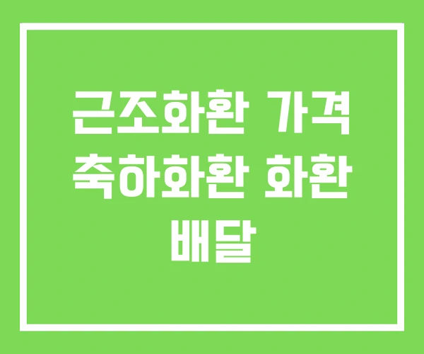 근조화환 가격 축하화환 화환 배달 근조화환 가격 축하화환 화환 배달
