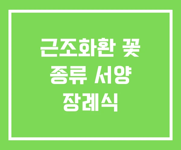 근조화환 꽃 종류 서양 장례식