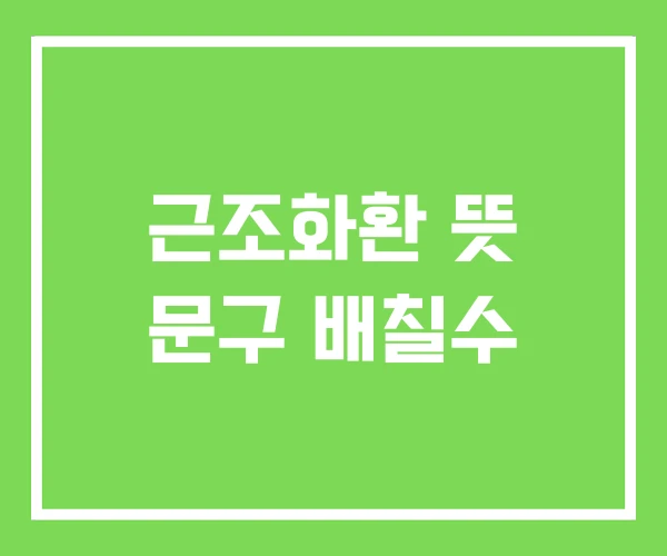근조화환 뜻 문구 배칠수 근조화환 뜻 문구 배칠수