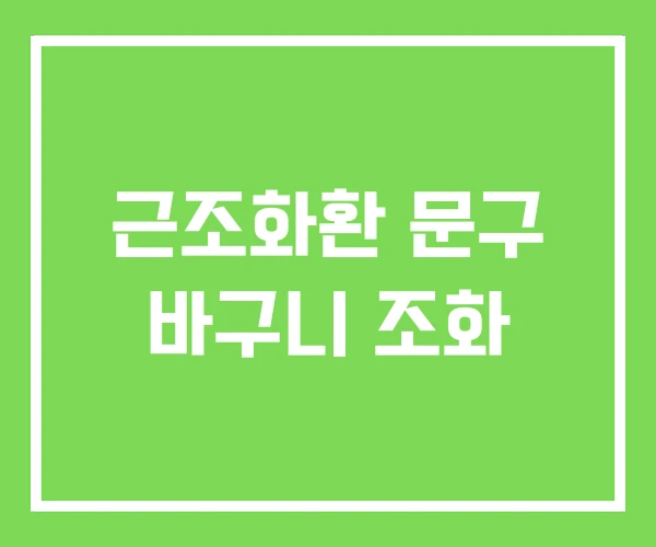 근조화환 문구 바구니 조화 근조화환 문구 바구니 조화