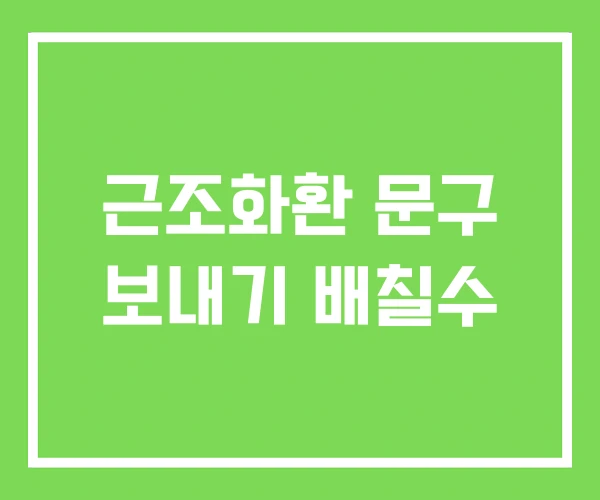 근조화환 문구 보내기 배칠수