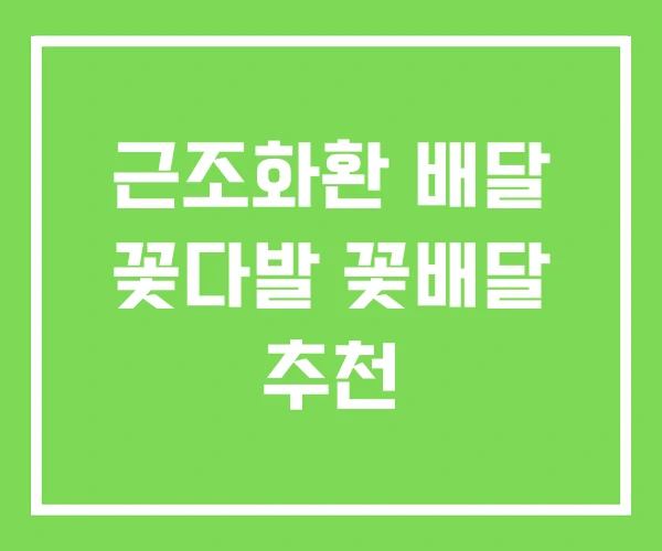 근조화환 배달 꽃다발 꽃배달 추천 근조화환 배달 꽃다발 꽃배달 추천