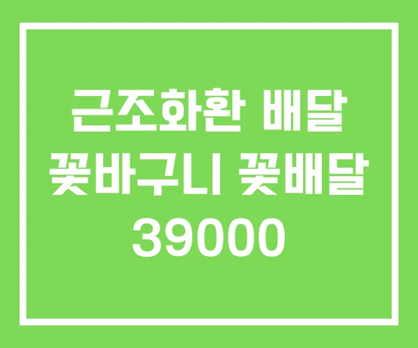 근조화환 배달 꽃바구니 꽃배달 39000 근조화환 배달 꽃바구니 꽃배달 39000