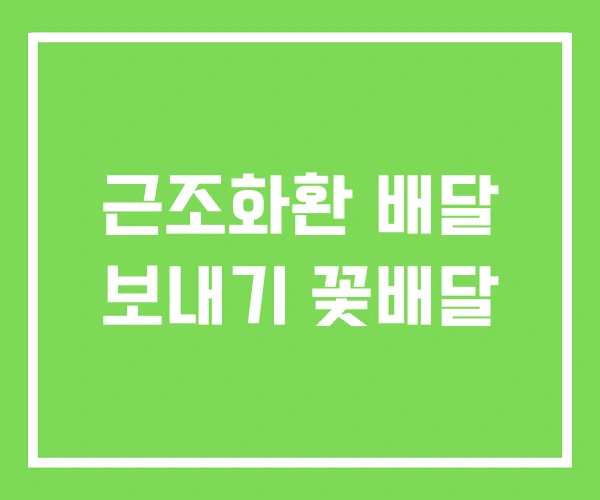 근조화환 배달 보내기 꽃배달