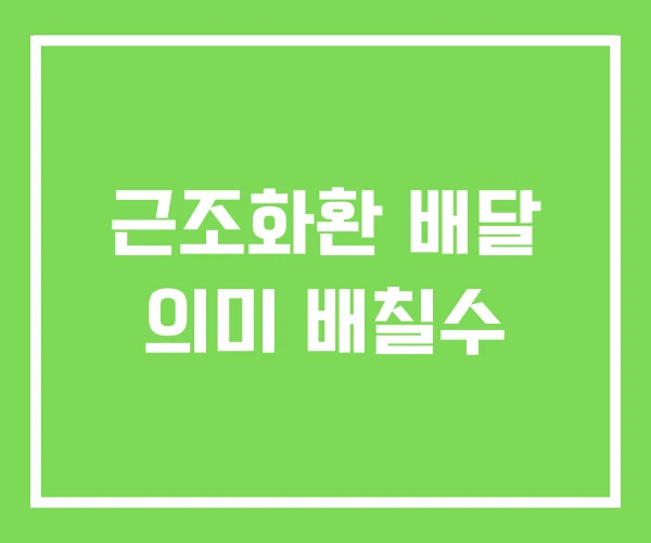 근조화환 배달 의미 배칠수