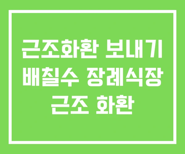 근조화환 보내기 배칠수 장례식장 근조 화환 근조화환 보내기 배칠수 장례식장 근조 화환