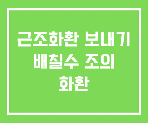 근조화환 보내기 배칠수 조의 화환