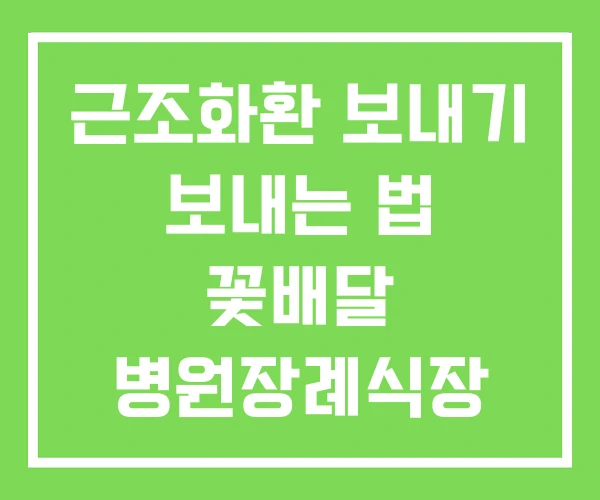 근조화환 보내기 보내는 법 꽃배달 병원장례식장 근조화환 보내기 보내는 법 꽃배달 병원장례식장