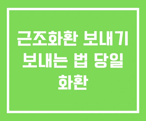 근조화환 보내기 보내는 법 당일 화환 근조화환 보내기 보내는 법 당일 화환