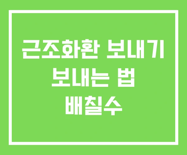 근조화환 보내기 보내는 법 배칠수 근조화환 보내기 보내는 법 배칠수