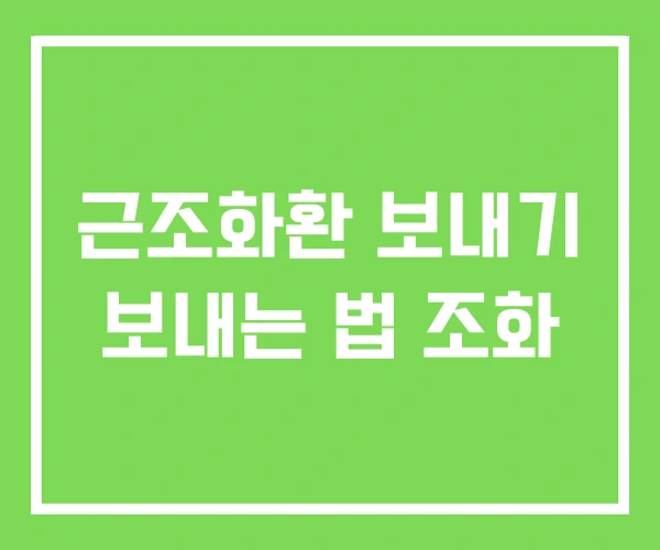 근조화환 보내기 보내는 법 조화 근조화환 보내기 보내는 법 조화