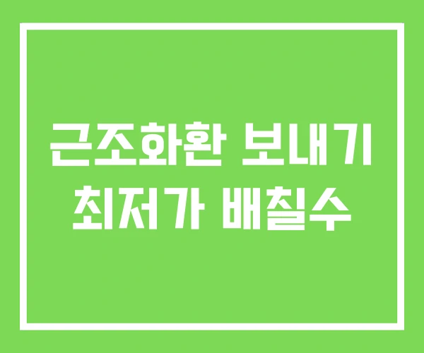 근조화환 보내기 최저가 배칠수