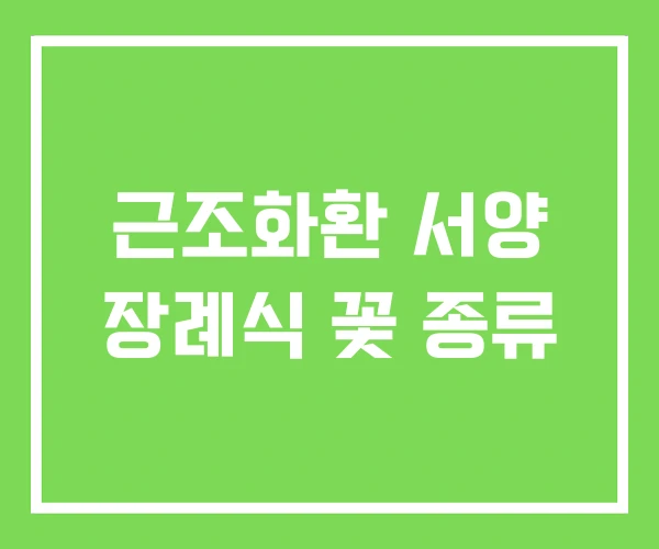 근조화환 서양 장례식 꽃 종류 근조화환 서양 장례식 꽃 종류