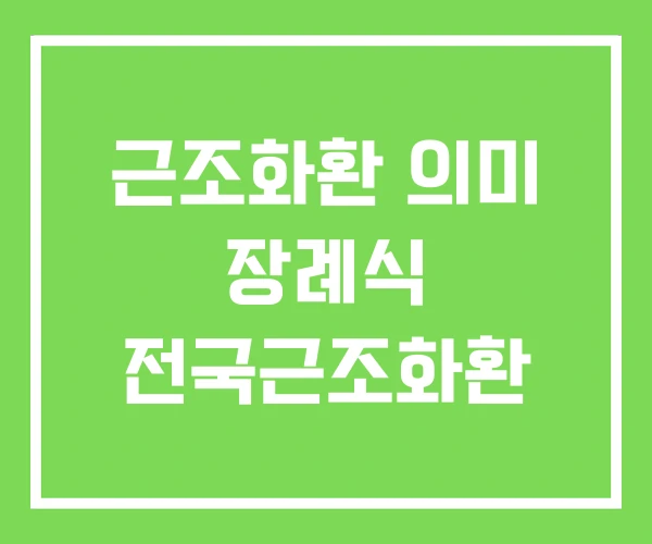근조화환 의미 장례식 전국근조화환 근조화환 의미 장례식 전국근조화환