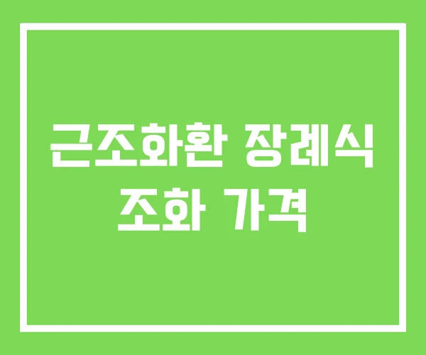 근조화환 장례식 조화 가격 근조화환 장례식 조화 가격