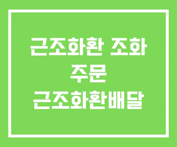 근조화환 조화 주문 근조화환배달