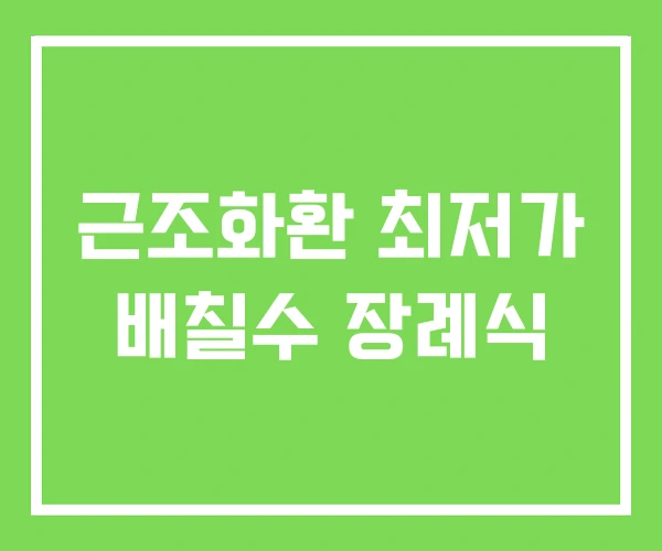 근조화환 최저가 배칠수 장례식