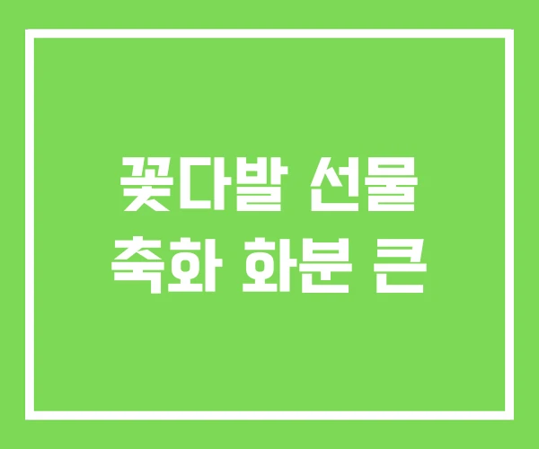 꽃다발 선물 축화 화분 큰 꽃다발 선물 축화 화분 큰