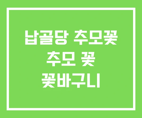 납골당 추모꽃 추모 꽃 꽃바구니