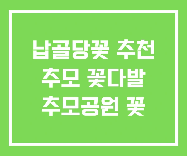 납골당꽃 추천 추모 꽃다발 추모공원 꽃