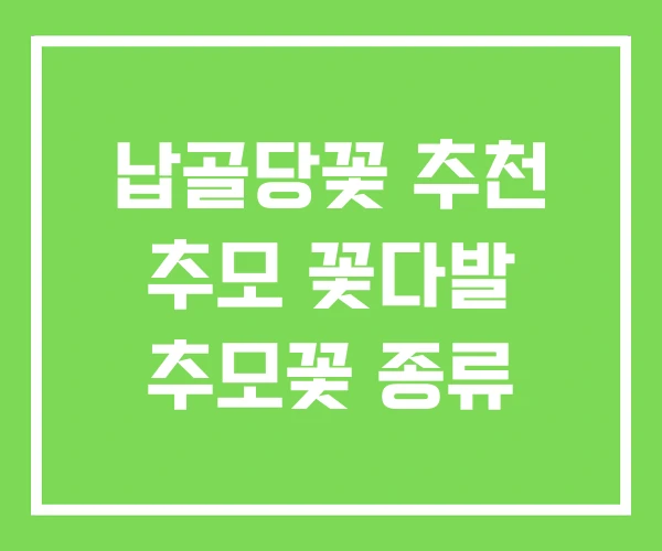 납골당꽃 추천 추모 꽃다발 추모꽃 종류