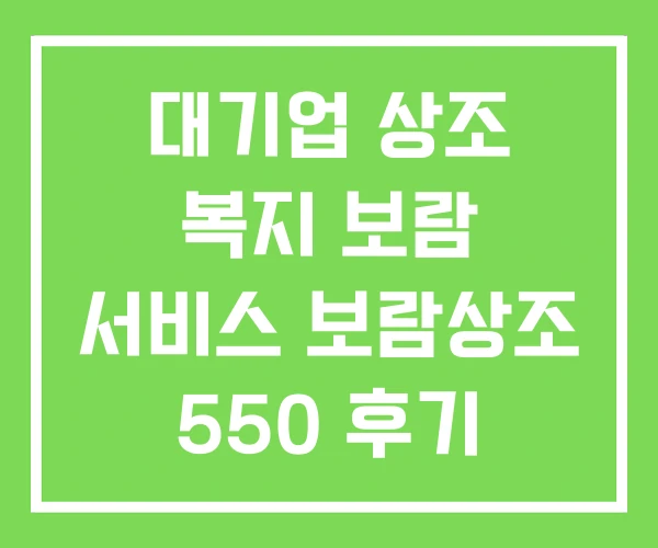 대기업 상조 복지 보람 서비스 보람상조 550 후기 대기업 상조 복지 보람 서비스 보람상조 550 후기