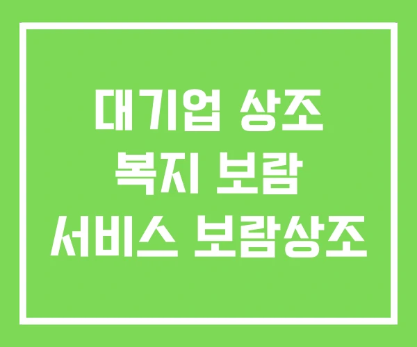 대기업 상조 복지 보람 서비스 보람상조 대기업 상조 복지 보람 서비스 보람상조