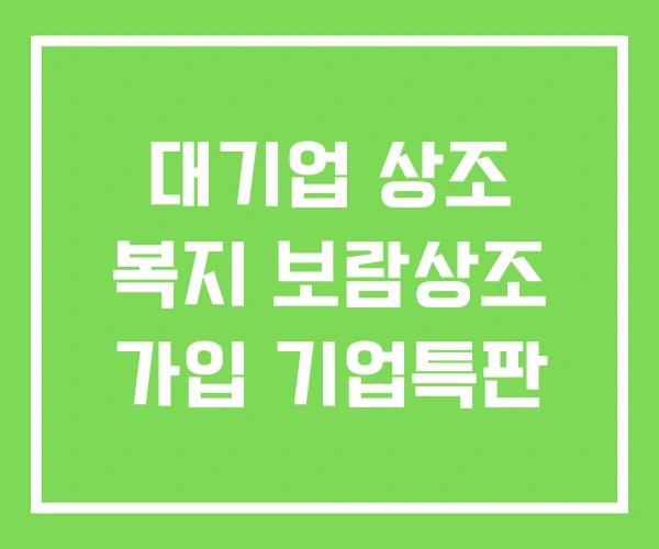 대기업 상조 복지 보람상조 가입 기업특판 대기업 상조 복지 보람상조 가입 기업특판