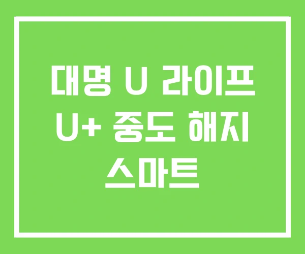 대명 U 라이프 U+ 중도 해지 스마트