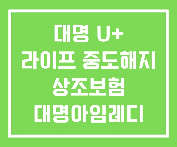 대명 U+ 라이프 중도해지 상조보험 대명아임레디 가전제품