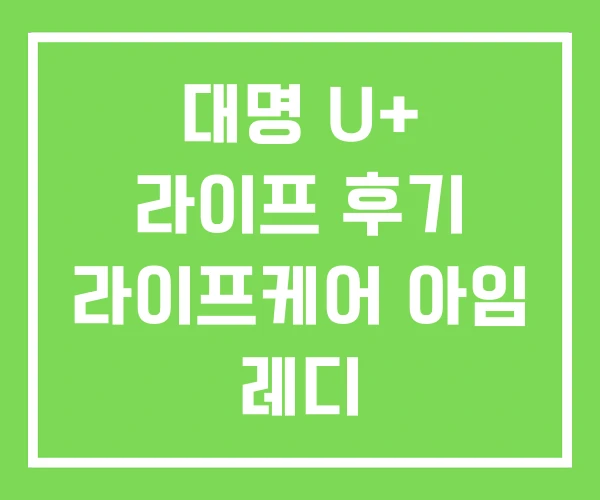 대명 U+ 라이프 후기 라이프케어 아임 레디
