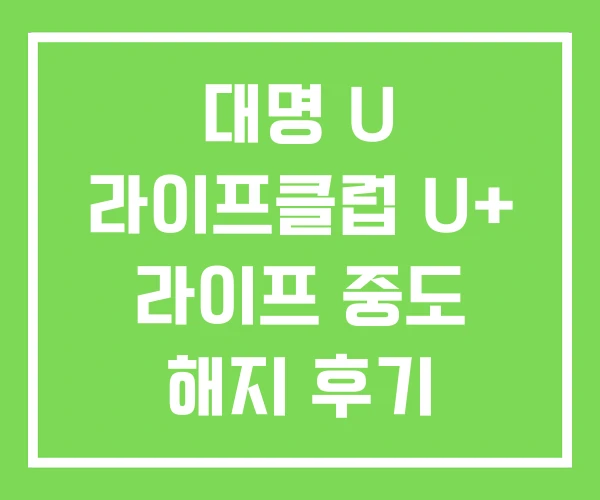 대명 U 라이프클럽 U+ 라이프 중도 해지 후기 대명 U 라이프클럽 U+ 라이프 중도 해지 후기