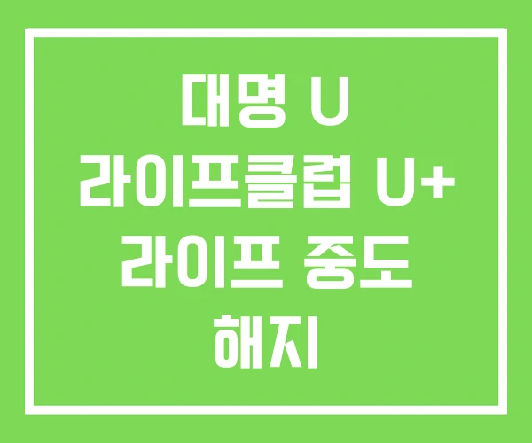 대명 U 라이프클럽 U+ 라이프 중도 해지 대명 U 라이프클럽 U+ 라이프 중도 해지