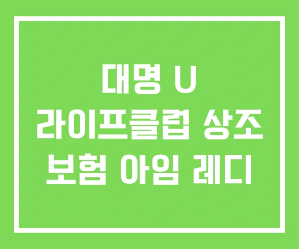 대명 U 라이프클럽 상조 보험 아임 레디 대명 U 라이프클럽 상조 보험 아임 레디