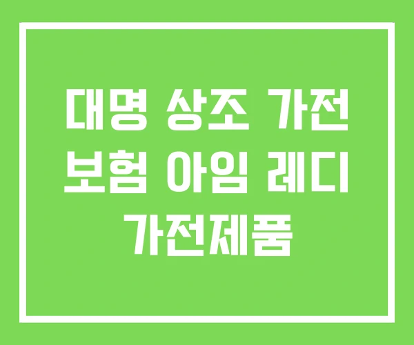 대명 상조 가전 보험 아임 레디 가전제품 대명 상조 가전 보험 아임 레디 가전제품