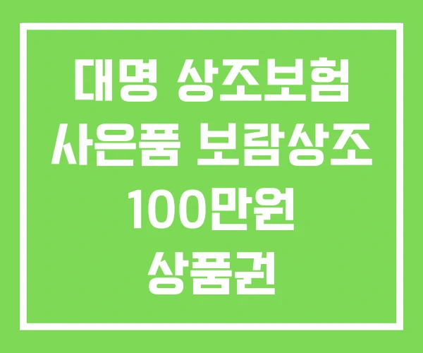 대명 상조보험 사은품 보람상조 100만원 상품권 대명 상조보험 사은품 보람상조 100만원 상품권