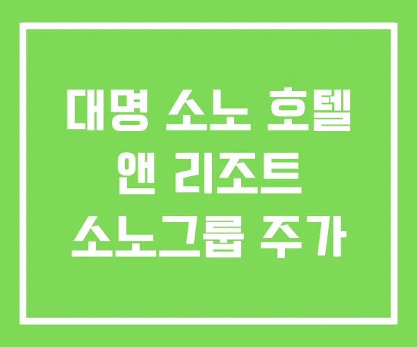 대명 소노 호텔 앤 리조트 소노그룹 주가 대명 소노 호텔 앤 리조트 소노그룹 주가