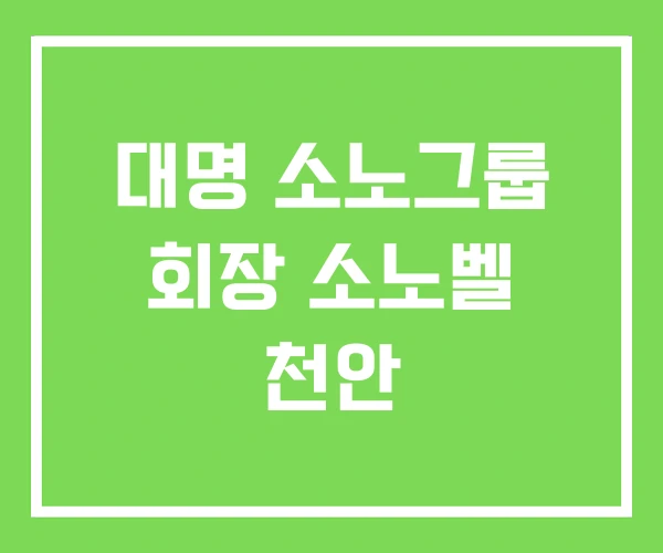 대명 소노그룹 회장 소노벨 천안