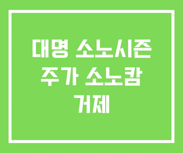 대명 소노시즌 주가 소노캄 거제 대명 소노시즌 주가 소노캄 거제