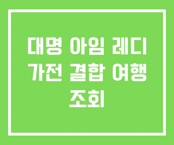 대명 아임 레디 가전 결합 여행 조회 대명 아임 레디 가전 결합 여행 조회