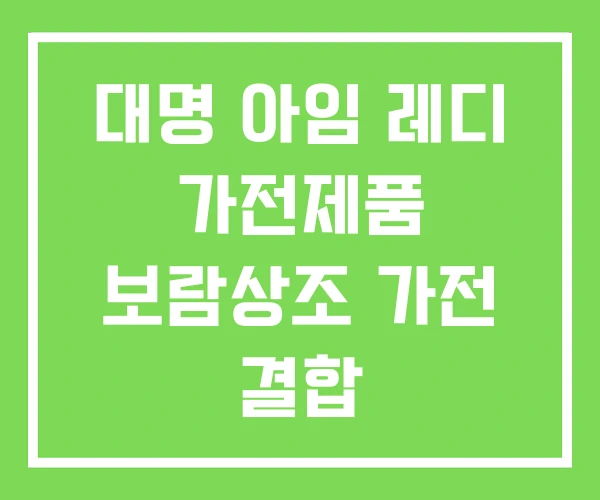 대명 아임 레디 가전제품 보람상조 가전 결합
