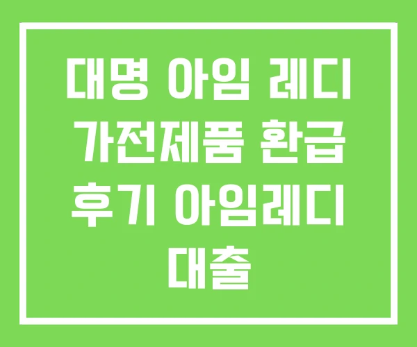대명 아임 레디 가전제품 환급 후기 아임레디 대출
