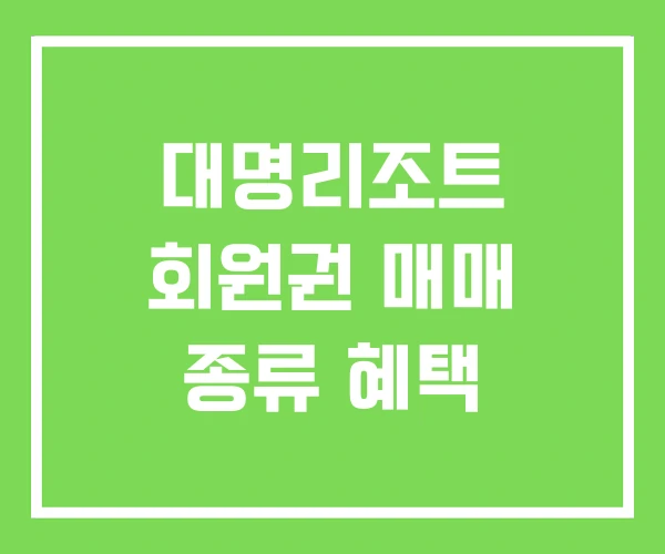 대명리조트 회원권 매매 종류 혜택
