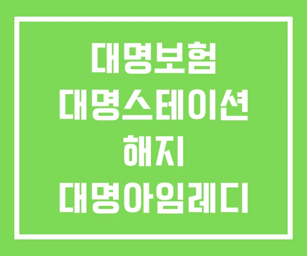 대명보험 대명스테이션 해지 대명아임레디 대명보험 대명스테이션 해지 대명아임레디
