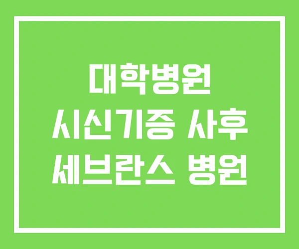 대학병원 시신기증 사후 세브란스 병원