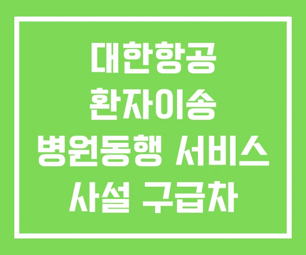 대한항공 환자이송 병원동행 서비스 사설 구급차 부르는 법