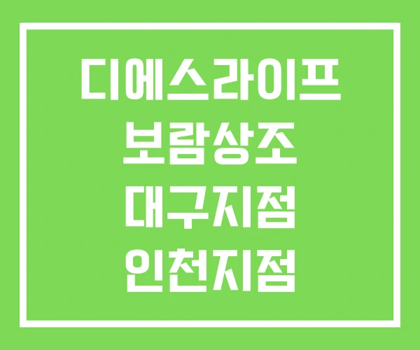 디에스라이프 보람상조 대구지점 인천지점