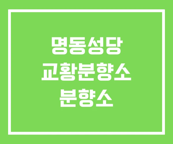 명동성당 교황분향소 분향소 명동성당 교황분향소 분향소